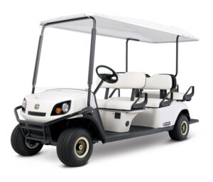 6 PASSENGER Golf Carts for Rent in Murrieta, CA