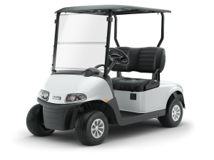 2 PASSENGER Golf Carts for Rent in Las Vegas, NV